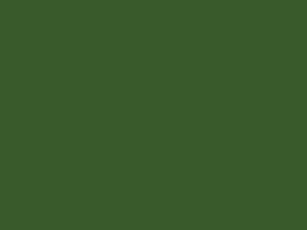 RAL 6025 папоротниковый зеленый
